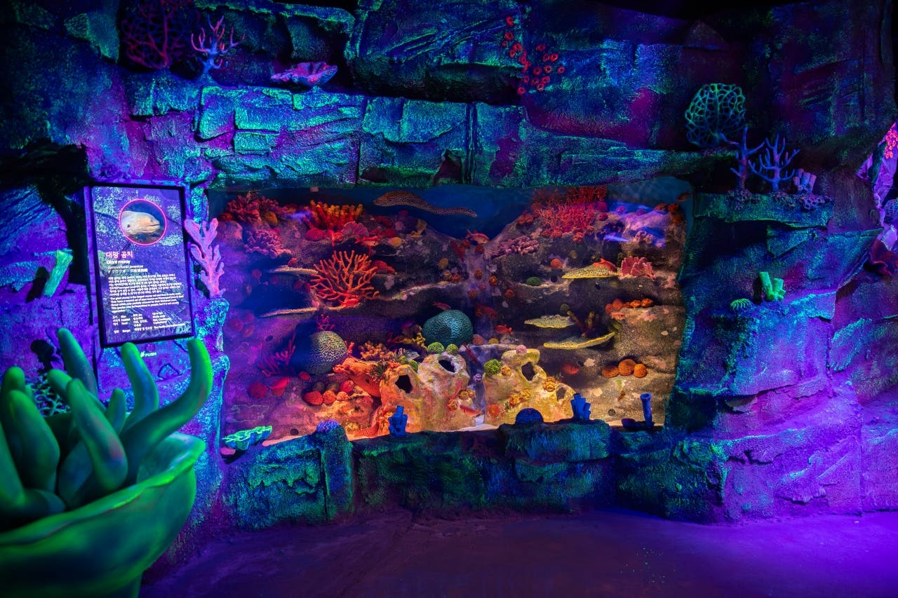 SEA LIFE Busan Aquarium & Brickman Exhibition: General Admission - Photo 1 of 10